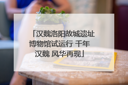汉魏洛阳故城遗址博物馆试运行 千年汉魏 风华再现